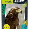 Rabatt 🔔 Spielzeug Die Spiegelburg Quartett Vögel Nature Zoom Günstig Kaufen 🤩 -Die-Spiegelburg Store die spiegelburg quartett vogel nature zoom