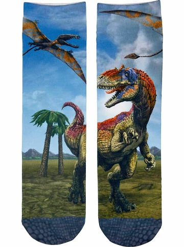 Budget 🔥 Bekleidung Die Spiegelburg Socken, One Size (Gr. 26-36) - T-Rex World Günstig Kaufen 🔔 4 Budget 🔥 Bekleidung Die Spiegelburg Socken, One Size (Gr. 26-36) - T-Rex World Günstig Kaufen 🔔 – Bild 2